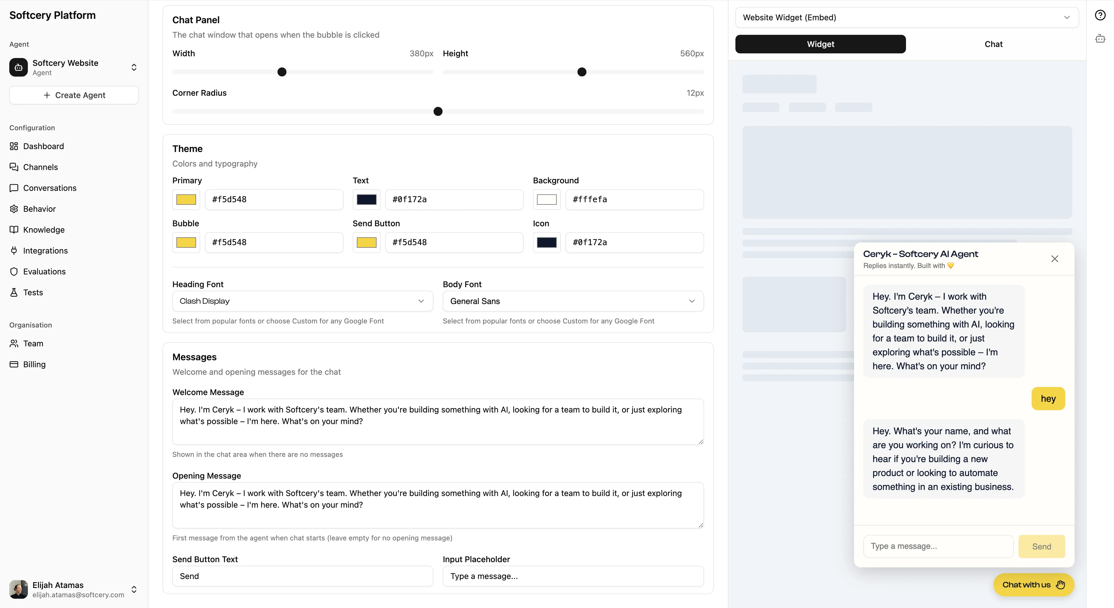 Channel branding with theme colors, typography, and chat widget preview
