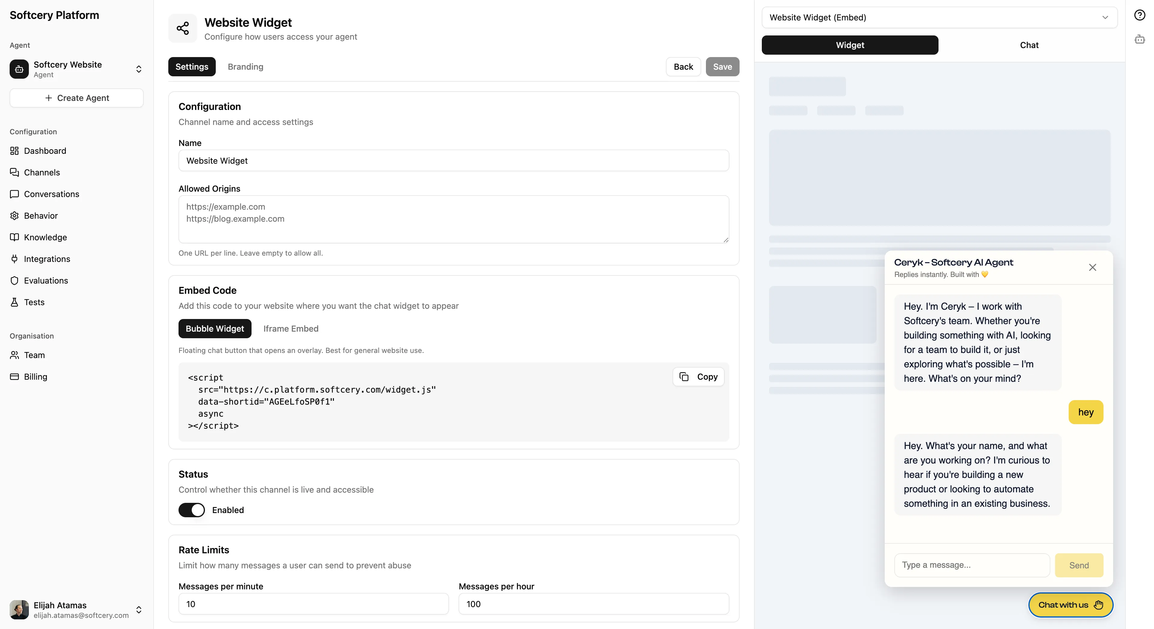 Channel settings showing embed code snippet and allowed origins